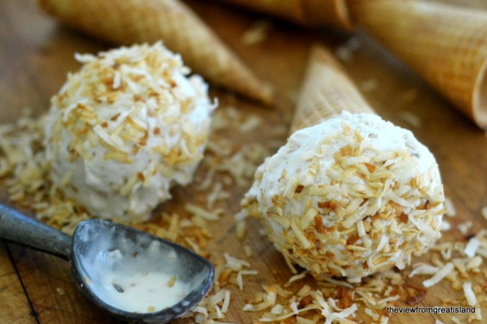 Vegan Toasted Coconut Ice Cream Recipe | HeyFood — heyfoodapp.com