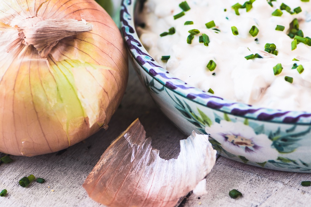 No Bake Vidalia Onion Dip Recipe | HeyFood — heyfoodapp.com
