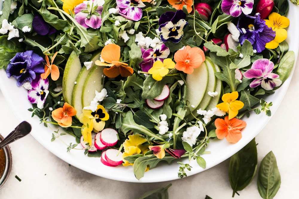 Winter Pansy Salad Recipe | HeyFood — heyfoodapp.com