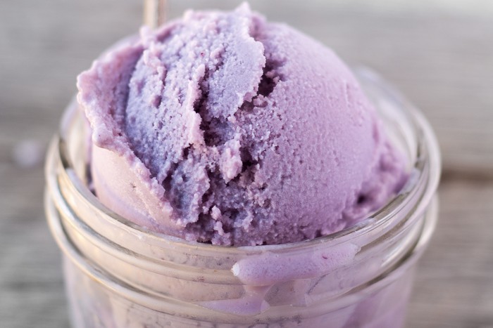 Concord Grape Frozen Yogurt Recipe | HeyFood — heyfoodapp.com