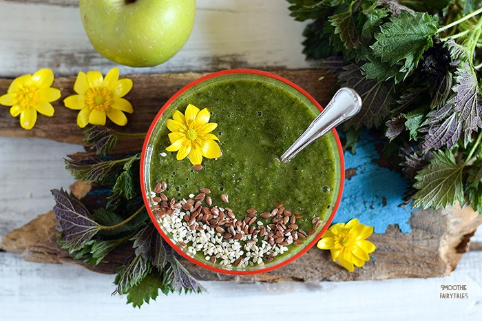 Nettle Smoothie Recipe | HeyFood — heyfoodapp.com