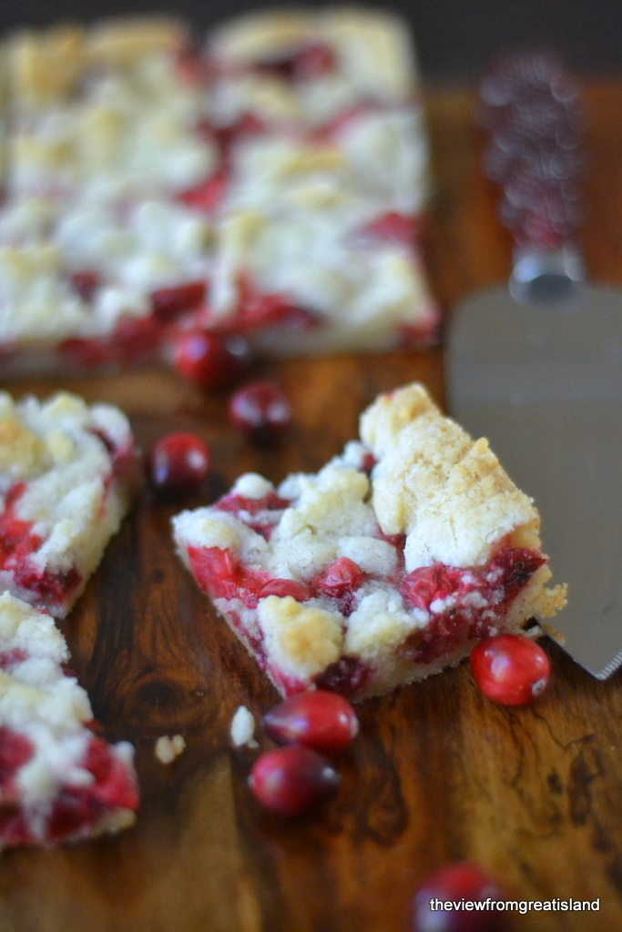 Fresh Cranberry Bars Recipe | HeyFood — heyfoodapp.com