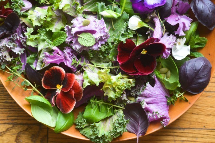 Purple Kale and Pansy Salad Recipe | HeyFood — heyfoodapp.com