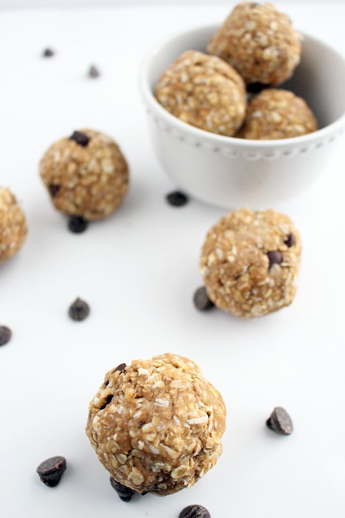 Quick 1 Bowl No Bake Vegan Protein Balls Recipe | HeyFood — heyfoodapp.com