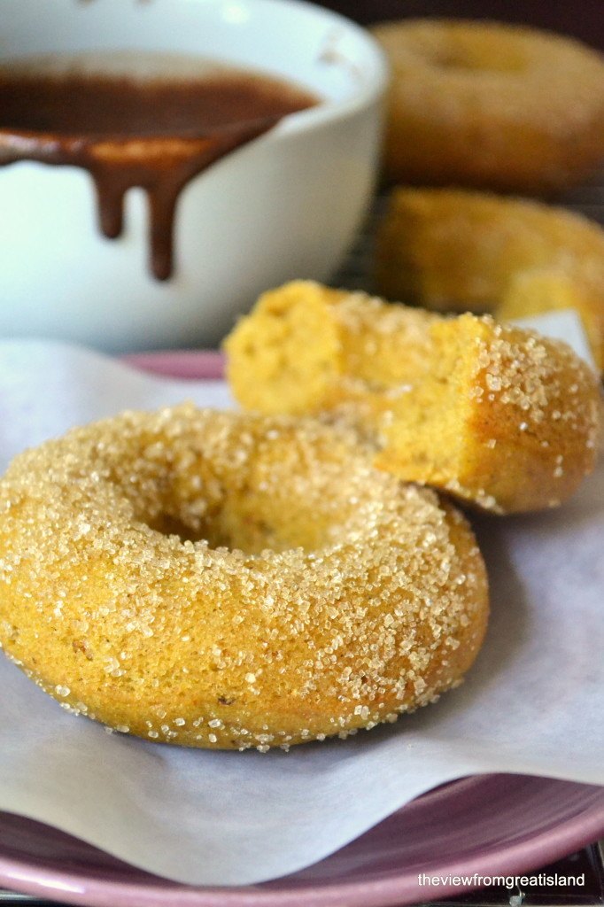 Pumpkin Churro Doughnuts with Warm Chocolate Sauce Recipe | HeyFood — heyfoodapp.com